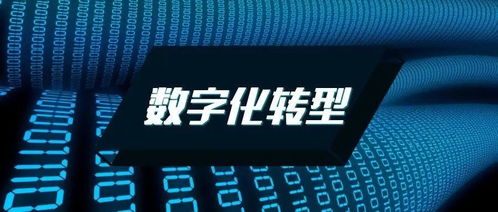 數字化轉型的全景圖 從科技向開發者開放到社會全面嬗變